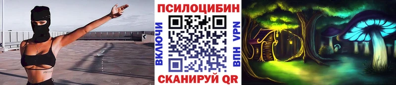 наркошоп KRAKEN зеркало Галлюциногенные грибы Psilocybe Чаплыгин